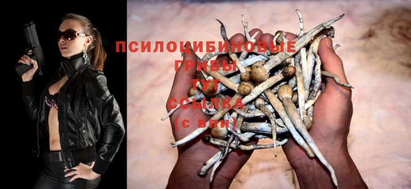 ГАЛЛЮЦИНОГЕННЫЕ ГРИБЫ Алзамай