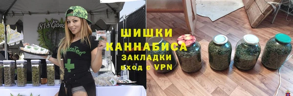 ГАЛЛЮЦИНОГЕННЫЕ ГРИБЫ Алзамай
