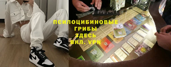 ГАЛЛЮЦИНОГЕННЫЕ ГРИБЫ Алзамай