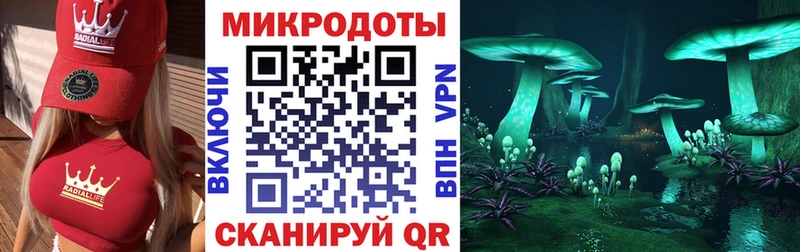 Псилоцибиновые грибы мицелий Катав-Ивановск